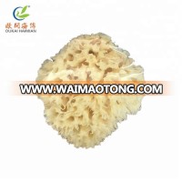 Natural Sea Sponge Decolorization Honeycomb ,Shape Bath Sponge From Greece