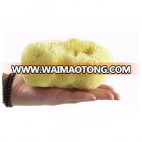 Hot Selling Bleaching Natural sea sponge fina silk /Bath Sponge from Greece