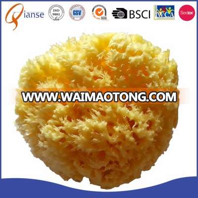 Ultra Soft Premium Sea Wool Sponge Soft on Baby's Tender Skin / Biodegradable / Hypoallergenic / Absorbent Natural Sea Sponge